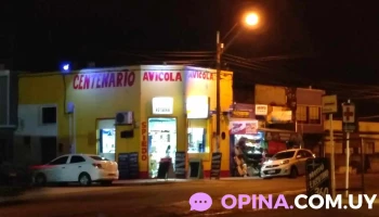 Avicola Centenario - 30000 Minas