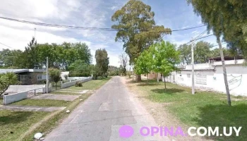 Avícola villa colon - 12500 Montevideo Avícola villa colon - 12500 Montevideo