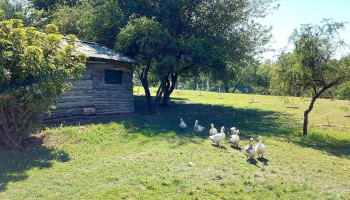 Balneario Las Toscas - Camino A La Meseta De Artigas Balneario Las Toscas - Camino A La Meseta De Artigas