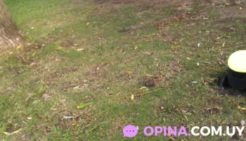 Barber michael - 12800 Montevideo Barber michael - 12800 Montevideo