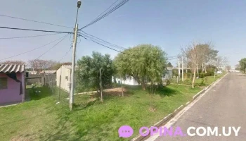 Barber style - Cerro San Antonio Barber style - Cerro San Antonio