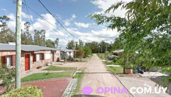 Barberia Cabezas Locas - 42.500