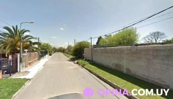 Barberia Leo flores - Minotto Di Cicco