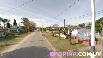 Barbería Pachu - Bis Esq