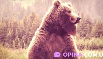 Barbudos Uruguay - Soriano 1237 Barbudos Uruguay - Soriano 1237