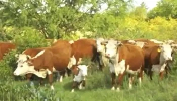 Bardier & Odriozola srl - Durazno Bardier & Odriozola srl - Durazno