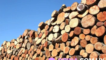 Barraca De Leña, Nuestra Esperanza - Montevideo Barraca De Leña, Nuestra Esperanza - Montevideo