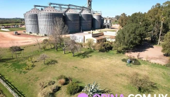 Barraca Erro S.a. - Nueva Palmira - Nueva Palmira Barraca Erro S.a. - Nueva Palmira - Nueva Palmira