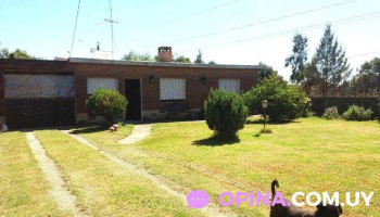 Barraca La Via - 84 Barraca La Via - 84