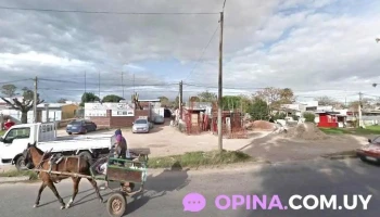 Barraca Picardo - Montevideo