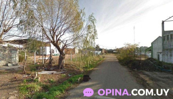 Barraca y ferreteria Nuevo Siglo Pintenord (nuevo) - Vivian Trias Y