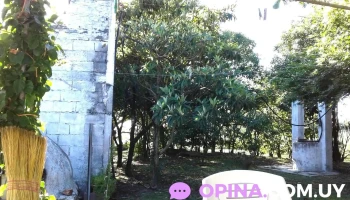 Barraca Y Ferreteria Rubens - José Batlle Y Ordóñez Barraca Y Ferreteria Rubens - José Batlle Y Ordóñez