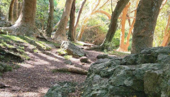 Batara Outdoors - Montevideo Batara Outdoors - Montevideo