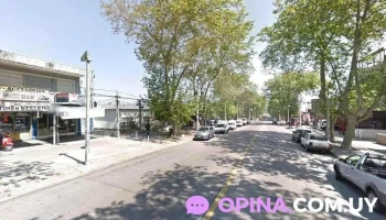 Belvedere - Laureles