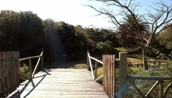 Bio Camping Aromas Nativos - Estación Las Flores