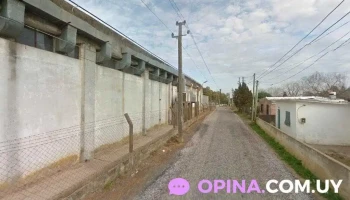 Blue Bird Sa - 20400