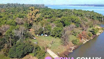 Boca del San Francisco - Nuevo Paysandu Boca del San Francisco - Nuevo Paysandu