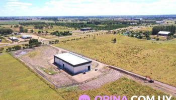 Bodega Cattani . - 50000 Salto