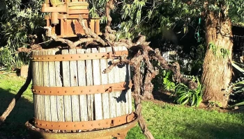 Bodega Pablo Fallabrino - Estación Atlántida Bodega Pablo Fallabrino - Estación Atlántida