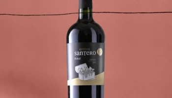 Bodega Quinta Santero - Departamento De Canelones Bodega Quinta Santero - Departamento De Canelones