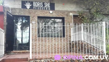 Boris She Peluquería - 11700 Montevideo