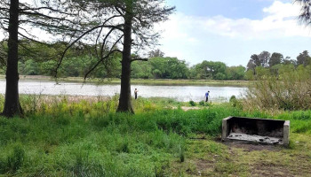 Bosque del embalse Canelon Grande - Canelones Bosque del embalse Canelon Grande - Canelones