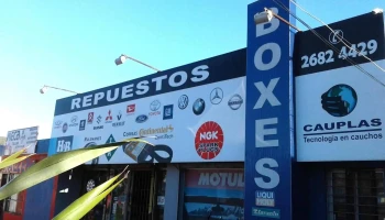 Boxes Repuestos - Cd De Canelones