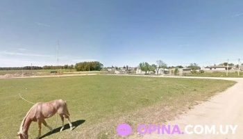 Braian - Sarandí Del Yí