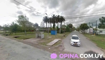 Brashing Progresivo Minas - Ruta 12