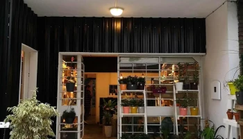 BRōTE - 11600 Montevideo