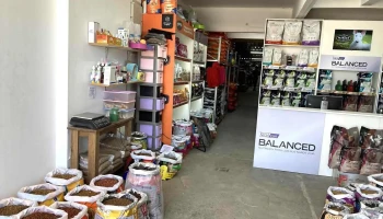 Buffett Mascotas - 12100 Montevideo Buffett Mascotas - 12100 Montevideo