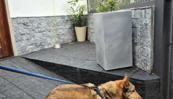 C.e.r • Consultorio Especializado Rizal - 11800 Montevideo