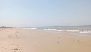 CablePlus - San José de Carrrasco - Sta. Rosa CablePlus - San José de Carrrasco - Sta. Rosa