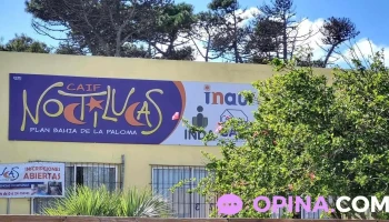 Caif Noctilucas - La Paloma