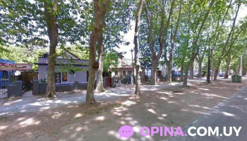 Calas Peinados - 12500 Montevideo