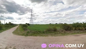 Calle Eliseo Bertinat - 70300 Nueva Helvecia