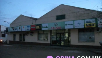 Calsal - 50000 Salto