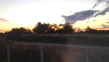 Camino - Carr Al Paso De La Cruz Camino - Carr Al Paso De La Cruz