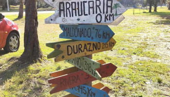 Campamento Araucaria Inau - La Floresta