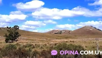 Campanero Lavalleja Uruguay - Minas