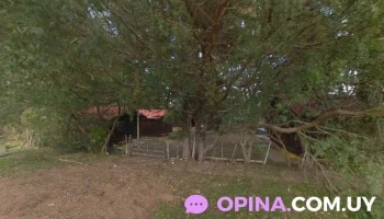 Camping Del Magisterio - Mirlo