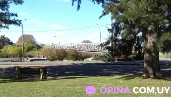 Camping - Florida Camping - Florida