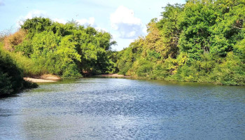 Camping Patricia - Departamento De Florida