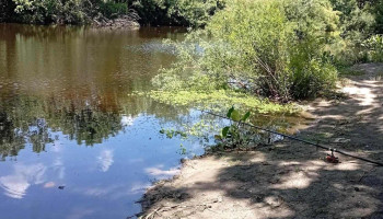 Camping Pesca - Pando