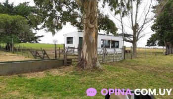 Campo Experimental N°1, Facultad De Veterinaria - UdelaR - 91700 Montes