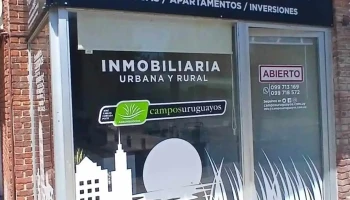 Campos Uruguayos - 20100 Punta Del Este