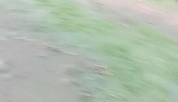 Canal 12 - 11800 Montevideo