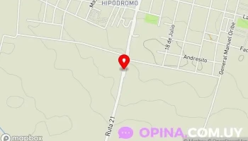 Cargill Mercedes - 21