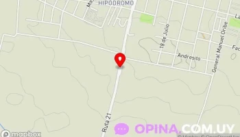 Cargill Mercedes - 21