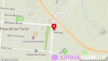 Casa de los abuelos - 45100 Paso De Los Toros